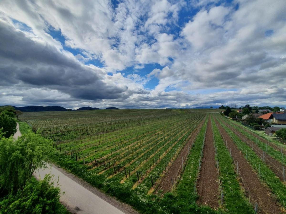 Weinseelig14 Landau in der Pfalz Exterior foto